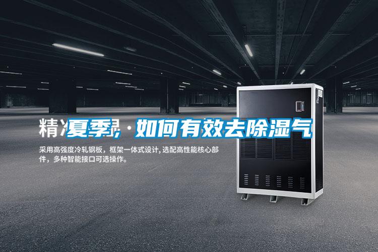 夏季，如何有效去除濕氣
