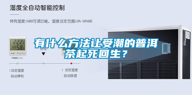 有什么方法讓受潮的普洱茶起死回生？