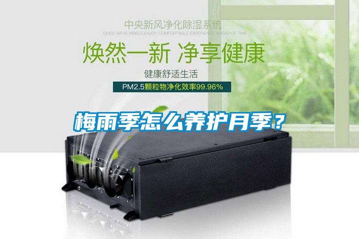 梅雨季怎么養(yǎng)護(hù)月季？