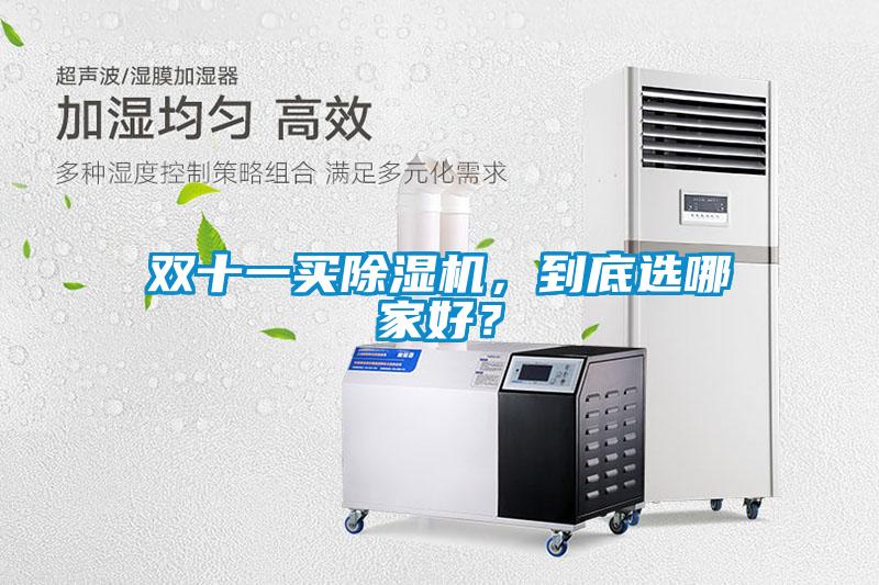 雙十一買除濕機(jī)，到底選哪家好？