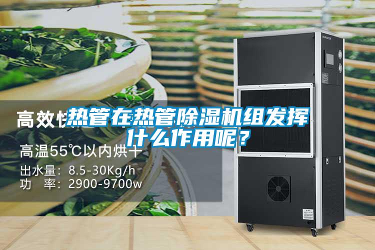 熱管在熱管除濕機(jī)組發(fā)揮什么作用呢？