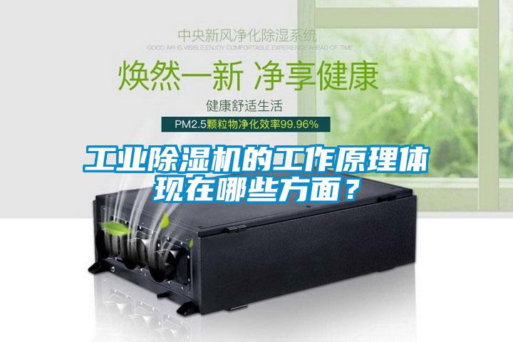 工業(yè)除濕機(jī)的工作原理體現(xiàn)在哪些方面？