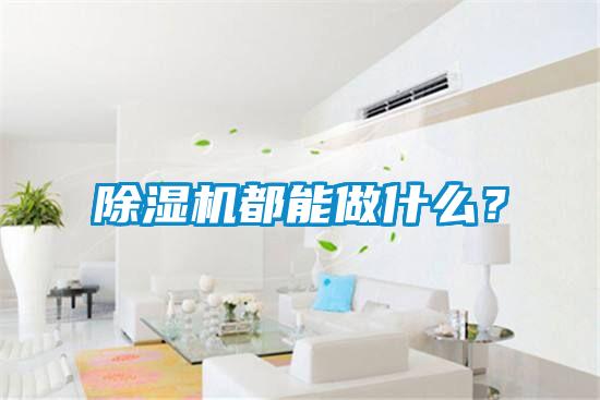 除濕機(jī)都能做什么？