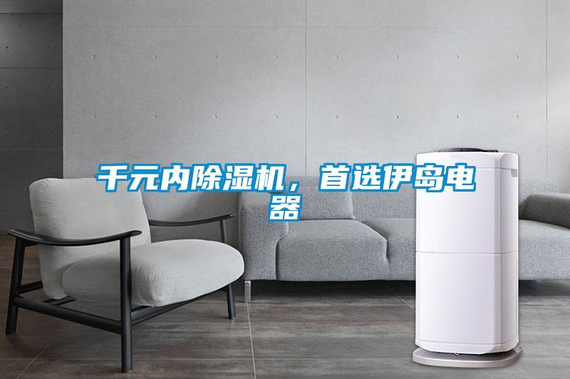 千元內(nèi)除濕機(jī)，首選伊島電器