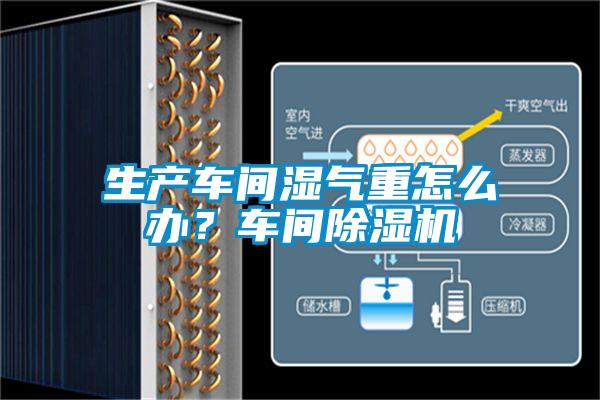 生產(chǎn)車(chē)間濕氣重怎么辦？車(chē)間除濕機(jī)