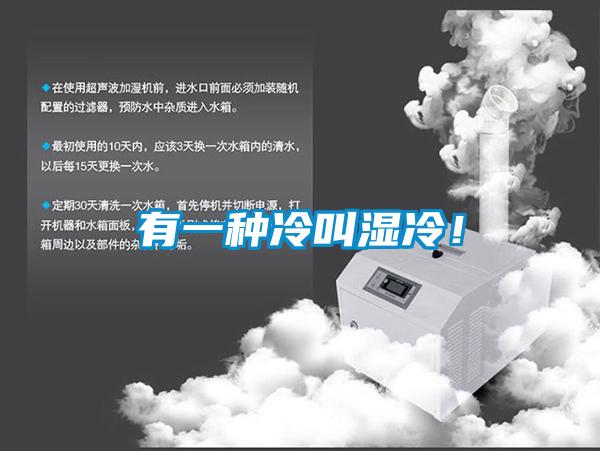 有一種冷叫濕冷！