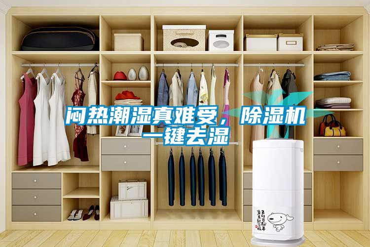 悶熱潮濕真難受，除濕機(jī)一鍵去濕