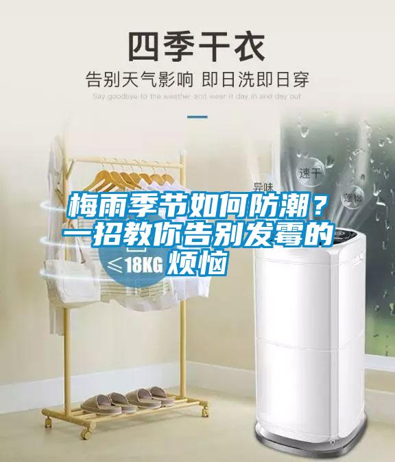 梅雨季節(jié)如何防潮？一招教你告別發(fā)霉的煩惱
