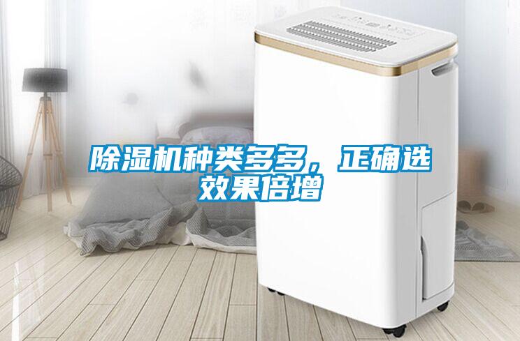 除濕機(jī)種類多多，正確選效果倍增