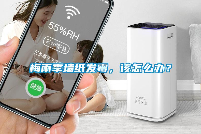 梅雨季墻紙發(fā)霉，該怎么辦？