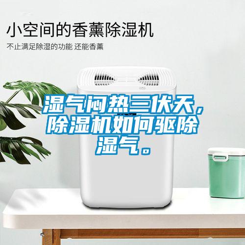 濕氣悶熱三伏天，除濕機如何驅(qū)除濕氣。