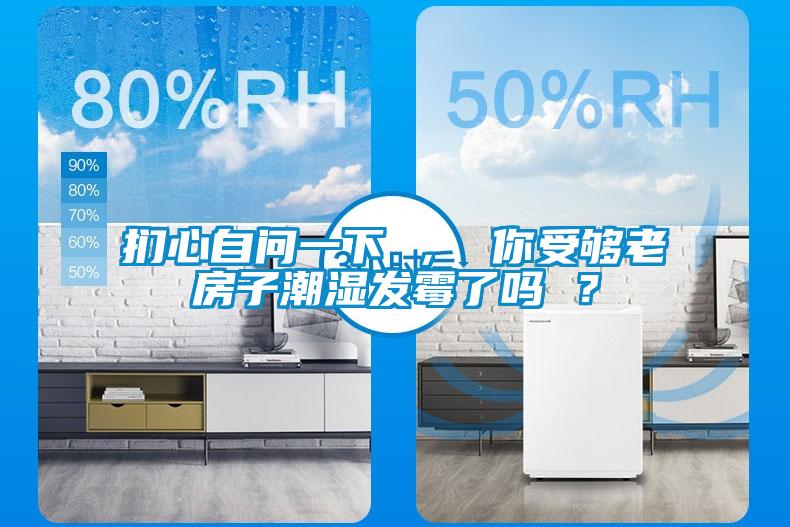 捫心自問一下 ， 你受夠老房子潮濕發(fā)霉了嗎 ？