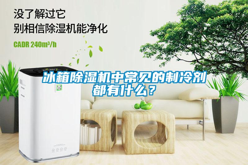 冰箱除濕機(jī)中常見的制冷劑都有什么？