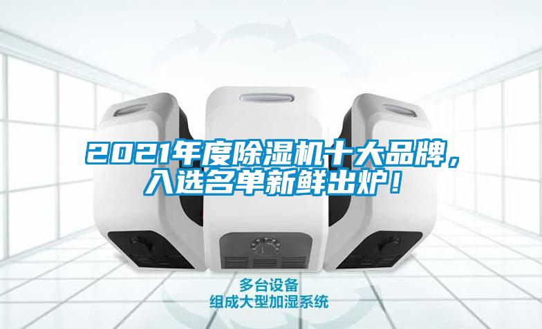 2021年度除濕機十大品牌，入選名單新鮮出爐！
