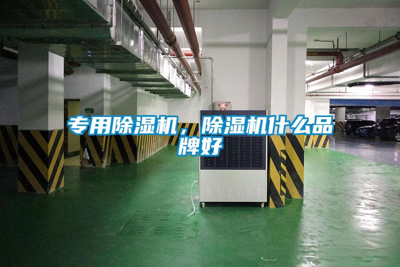 專用除濕機(jī)，除濕機(jī)什么品牌好
