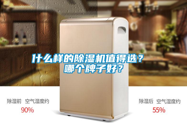 什么樣的除濕機(jī)值得選？ 哪個牌子好？