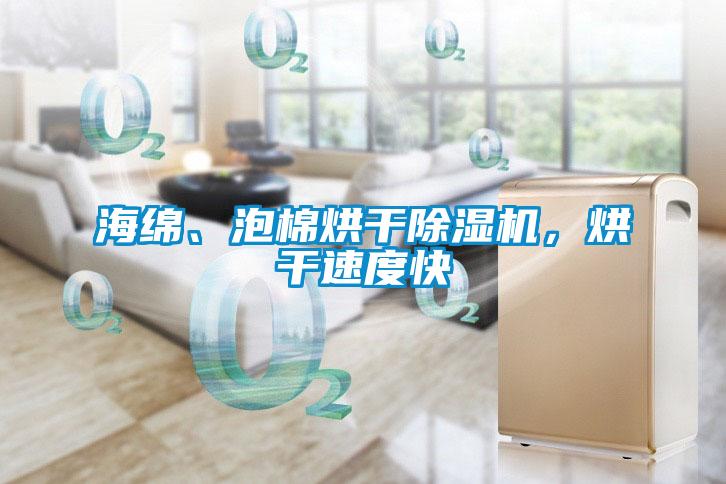 海綿、泡棉烘干除濕機(jī)，烘干速度快