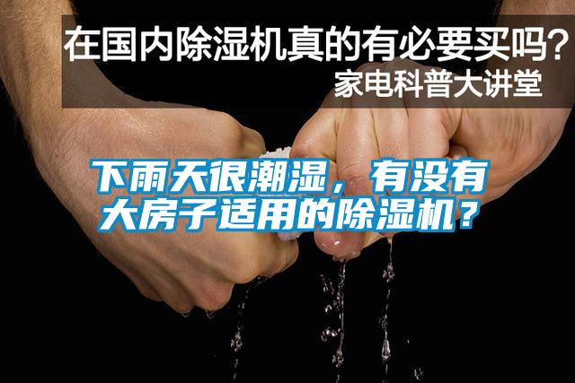 下雨天很潮濕，有沒有大房子適用的除濕機？