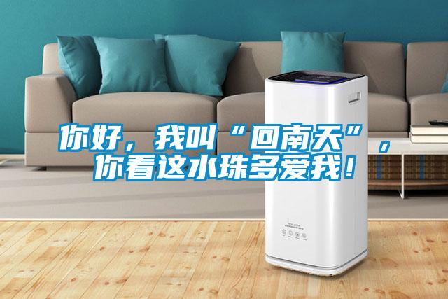 你好，我叫“回南天”，你看這水珠多愛我！