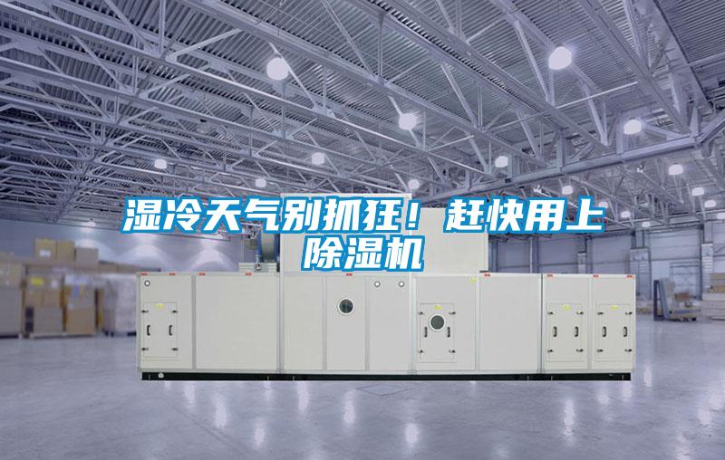 濕冷天氣別抓狂！趕快用上除濕機
