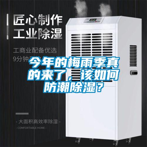 今年的梅雨季真的來了，該如何防潮除濕？