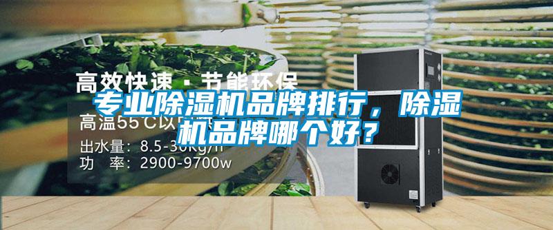 專業(yè)除濕機(jī)品牌排行，除濕機(jī)品牌哪個(gè)好？