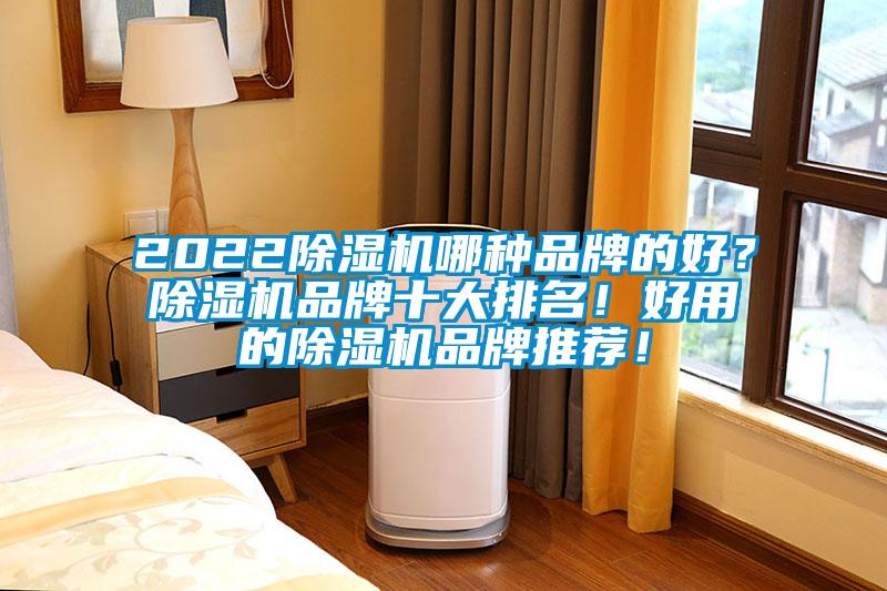 2022除濕機(jī)哪種品牌的好？除濕機(jī)品牌十大排名！好用的除濕機(jī)品牌推薦！