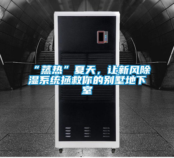 “蒸熱”夏天，讓新風(fēng)除濕系統(tǒng)拯救你的別墅地下室