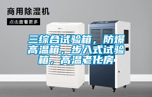 三綜合試驗箱，防爆高溫箱，步入式試驗箱，高溫老化房