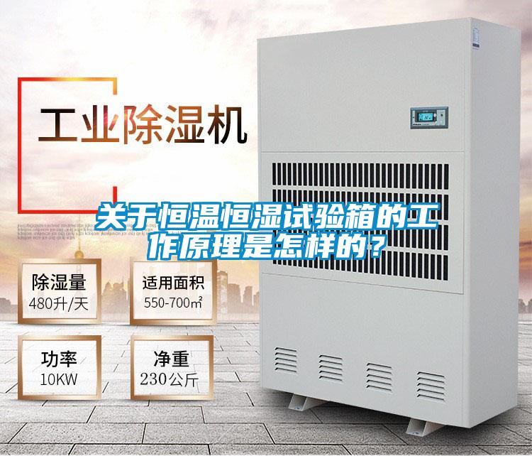 關(guān)于恒溫恒濕試驗(yàn)箱的工作原理是怎樣的？