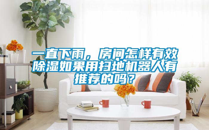 一直下雨，房間怎樣有效除濕如果用掃地機(jī)器人有推薦的嗎？