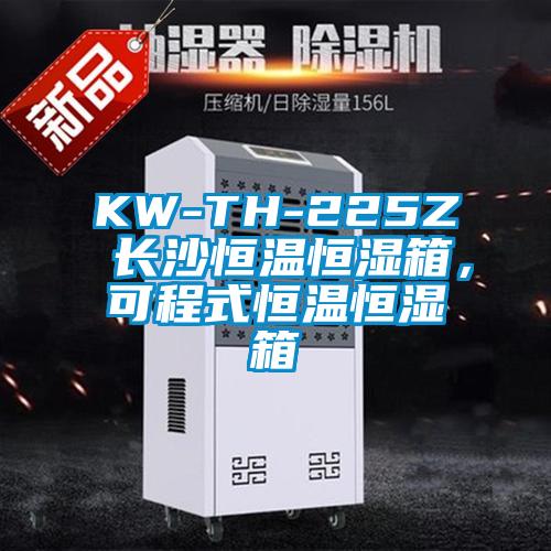KW-TH-225Z 長(zhǎng)沙恒溫恒濕箱，可程式恒溫恒濕箱