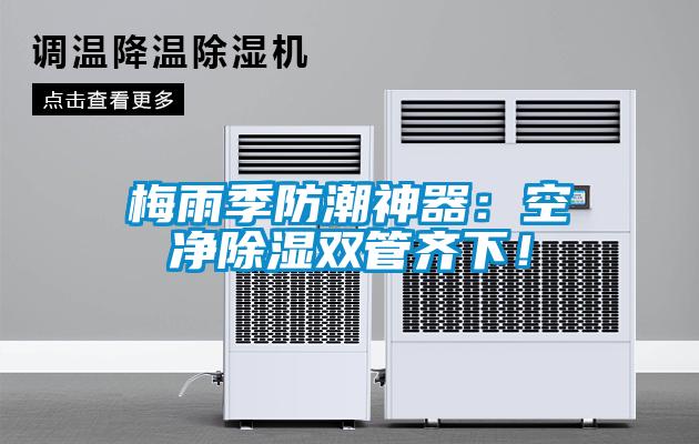 梅雨季防潮神器：空凈除濕雙管齊下！