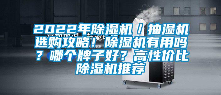 2022年除濕機(jī)／抽濕機(jī)選購(gòu)攻略！除濕機(jī)有用嗎？哪個(gè)牌子好？高性?xún)r(jià)比除濕機(jī)推薦