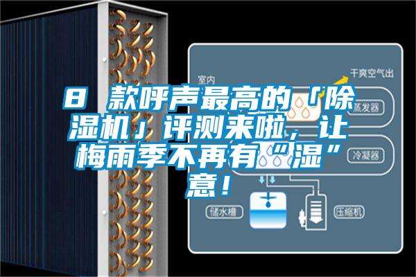 8 款呼聲最高的「除濕機」評測來啦，讓梅雨季不再有“濕”意！