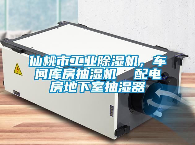 仙桃市工業(yè)除濕機(jī)，車(chē)間庫(kù)房抽濕機(jī)  配電房地下室抽濕器
