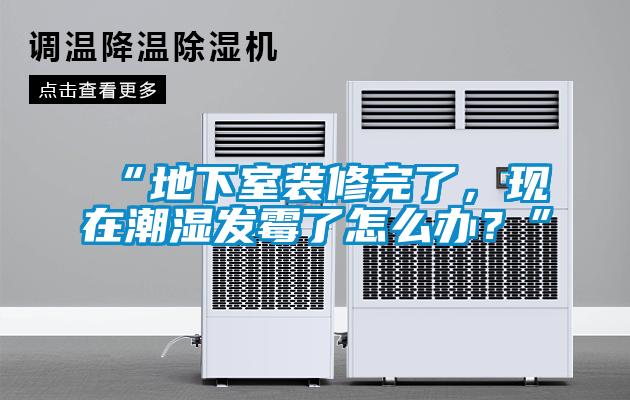 “地下室裝修完了，現(xiàn)在潮濕發(fā)霉了怎么辦？”