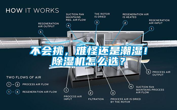 不會挑，難怪還是潮濕！除濕機怎么選？