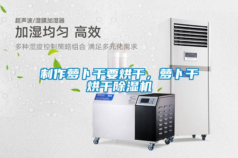 制作蘿卜干要烘干，蘿卜干烘干除濕機(jī)