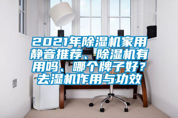2021年除濕機家用靜音推薦、除濕機有用嗎、哪個牌子好？去濕機作用與功效