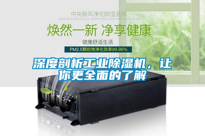 深度剖析工業(yè)除濕機(jī)，讓你更全面的了解