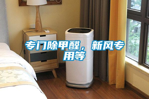 專門除甲醛，新風專用等