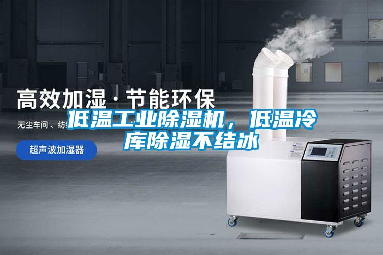 低溫工業(yè)除濕機(jī)，低溫冷庫除濕不結(jié)冰