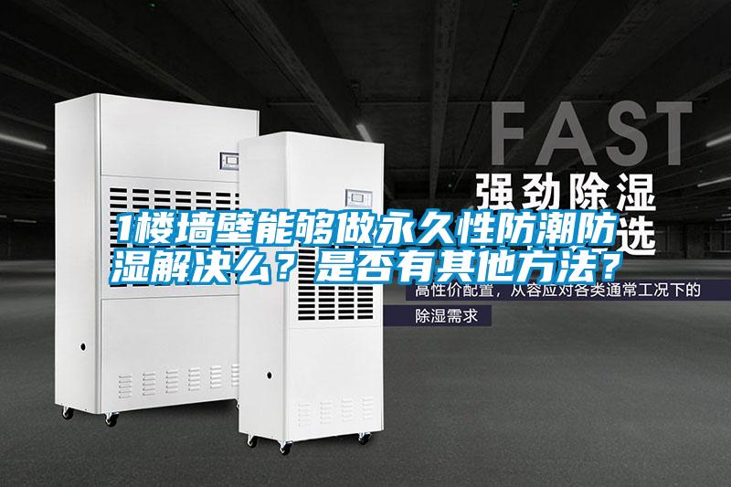 1樓墻壁能夠做永久性防潮防濕解決么？是否有其他方法？