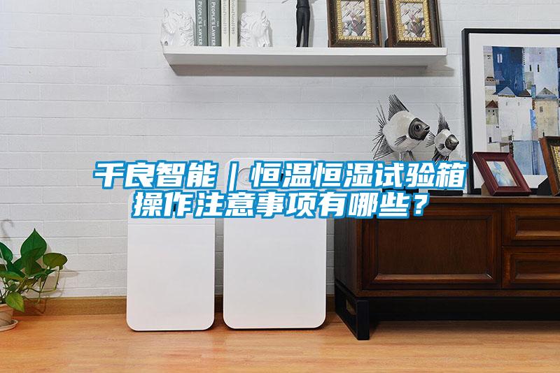 千良智能｜恒溫恒濕試驗箱操作注意事項有哪些？