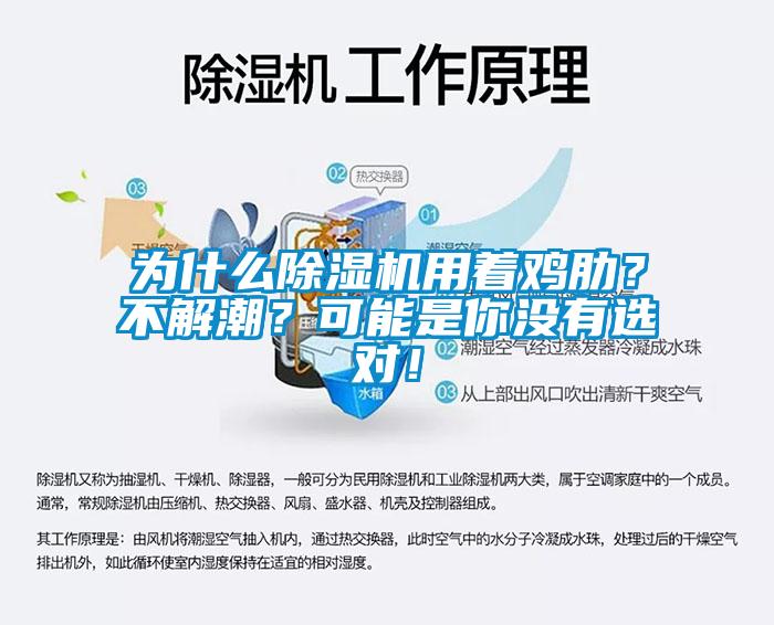為什么除濕機(jī)用著雞肋？不解潮？可能是你沒有選對！