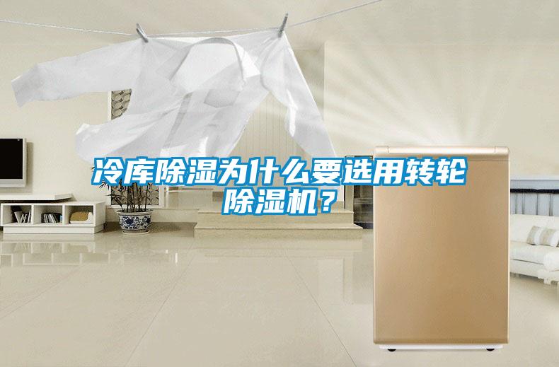 冷庫(kù)除濕為什么要選用轉(zhuǎn)輪除濕機(jī)？