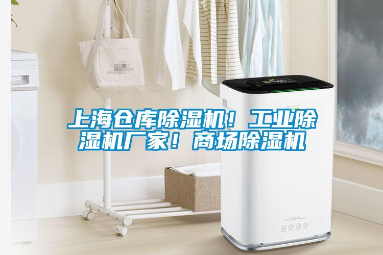 上海倉庫除濕機！工業(yè)除濕機廠家！商場除濕機