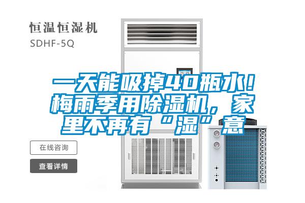 一天能吸掉40瓶水！梅雨季用除濕機(jī)，家里不再有“濕”意