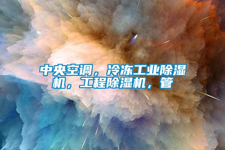 中央空調(diào)，冷凍工業(yè)除濕機，工程除濕機，管
